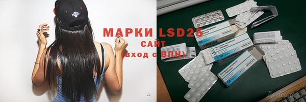 ПСИЛОЦИБИНОВЫЕ ГРИБЫ Майский