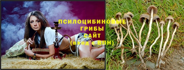ПСИЛОЦИБИНОВЫЕ ГРИБЫ Майский