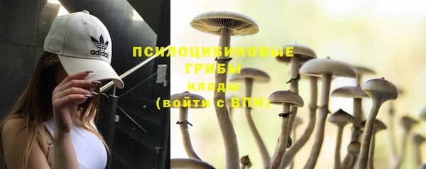 каннабис Магас