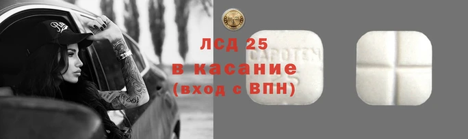 apvp Магадан