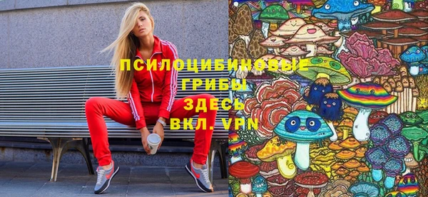 ПСИЛОЦИБИНОВЫЕ ГРИБЫ Майский