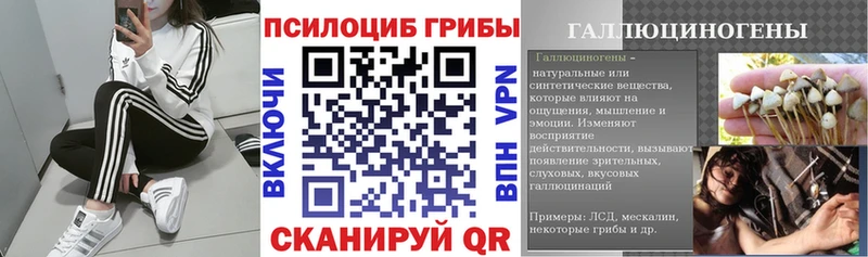 где купить наркотик  Нефтеюганск  Псилоцибиновые грибы мухоморы 