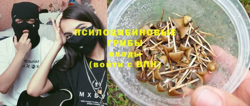 Галлюциногенные грибы GOLDEN TEACHER  купить наркотик  Нефтеюганск 