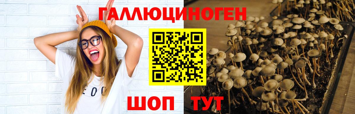 Псилоцибиновые грибы MAGIC MUSHROOMS  купить наркотик  Нефтеюганск  Вход с VPN  Галлюциногенные грибы Psilocybine cubensis 